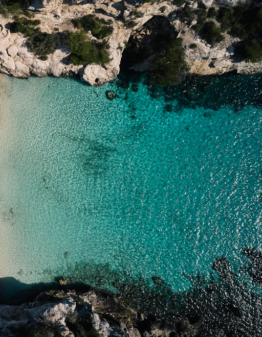 Default navigation image