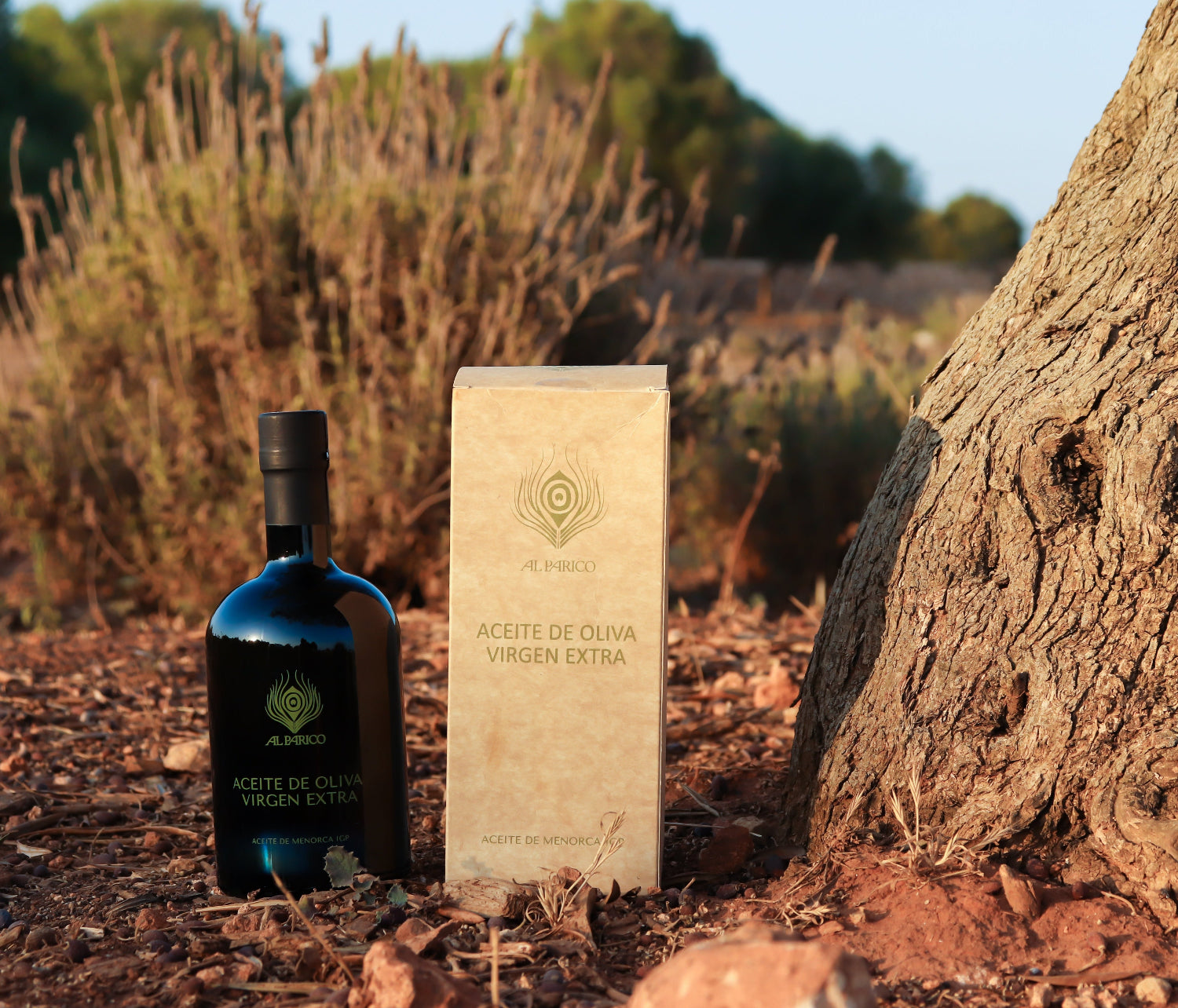 Aceite de oliva
