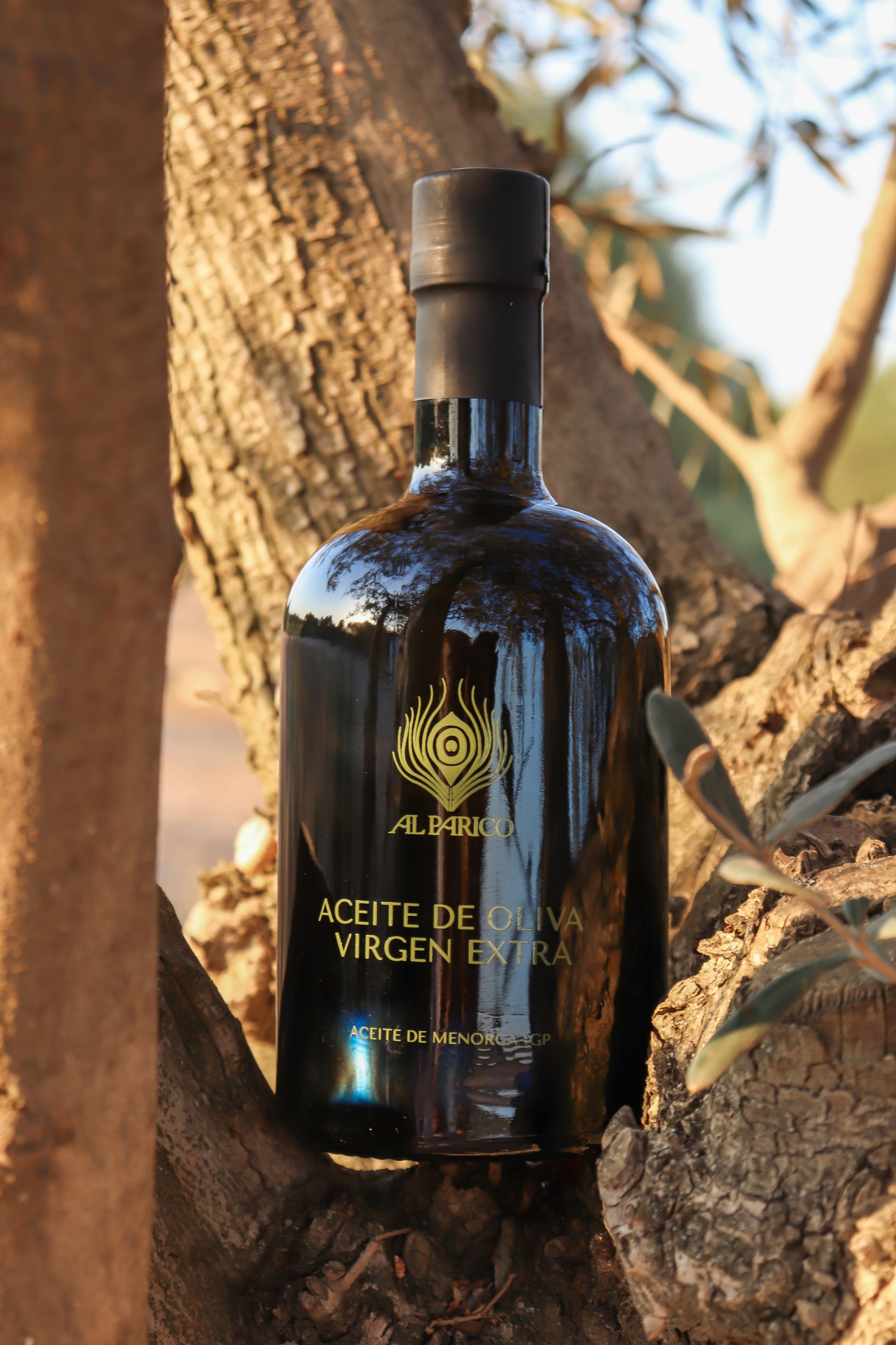 Aceite de oliva